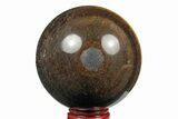 Polished Tiger's Eye Sphere #191195-1